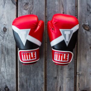 FBB Boxing Gloves
